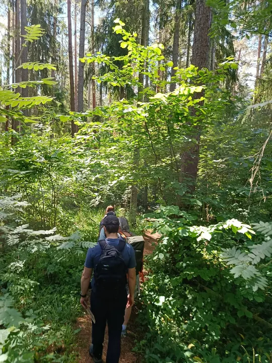 Matkaline liigirikkas Viitna metsas